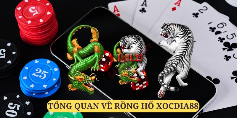 Rồng hổ xocdia88 là game bài đang vô cùng ăn khách tại nhà cái Xocdia88