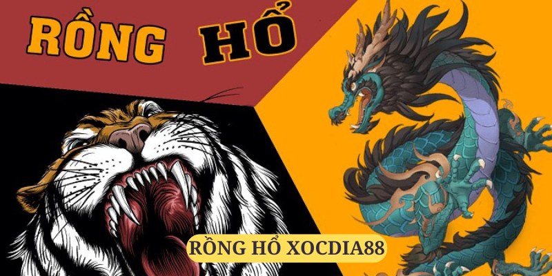 Rồng Hổ Xocdia88